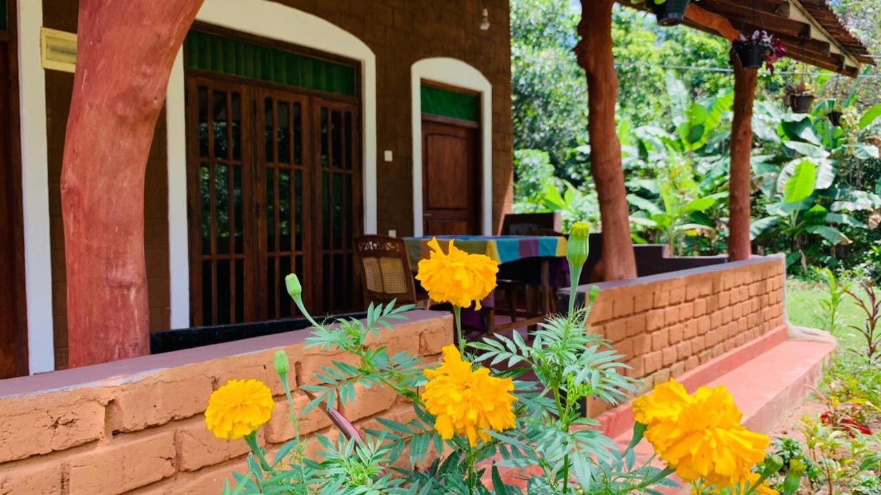 Sigiriya Chena Villa Ngoại thất bức ảnh