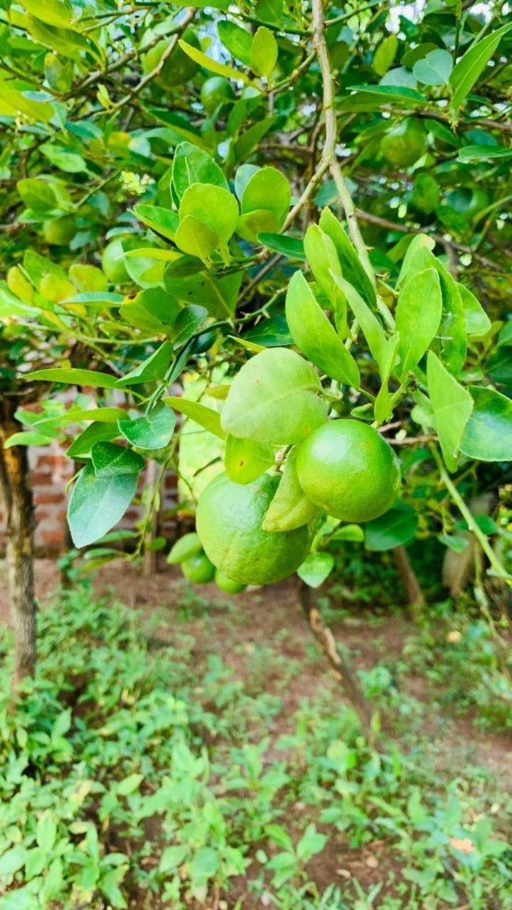 Sigiriya Chena Villa Ngoại thất bức ảnh