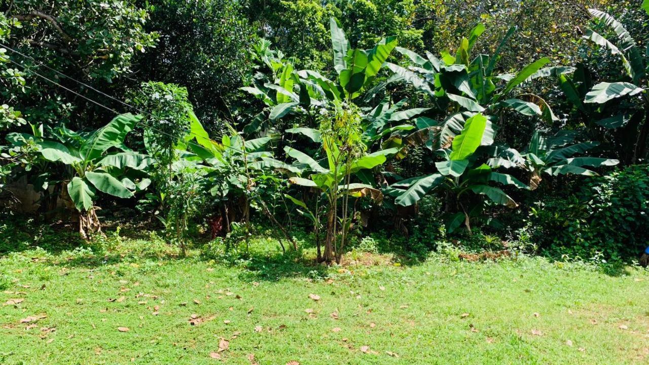 Sigiriya Chena Villa Ngoại thất bức ảnh